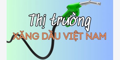 Thị trường xăng dầu VN ngày 13/11/2024