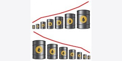 TotalEnergies: Nhu cầu dầu sẽ đạt đỉnh sau năm 2030