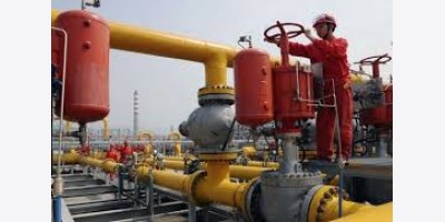 Hoạt động lọc dầu của Trung Quốc giảm do lợi nhuận lọc dầu thấp